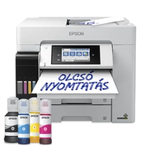 Epson L6580 A4 ITS MFP (C11CJ28402)