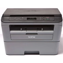 Brother DCP-L2500D